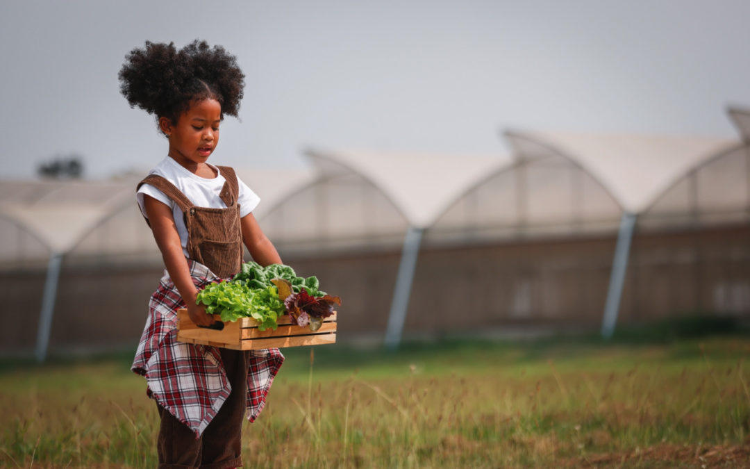 One State, Two Systems | Food Equity Event