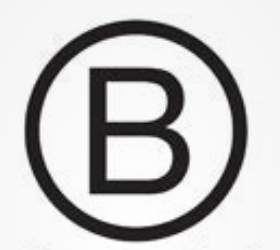 Camber Collective is a B-Corporation