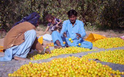 Protecting Our Future: Quantifying the Climate Adaptation Benefits of Health Investments for Gavi and AIIB
