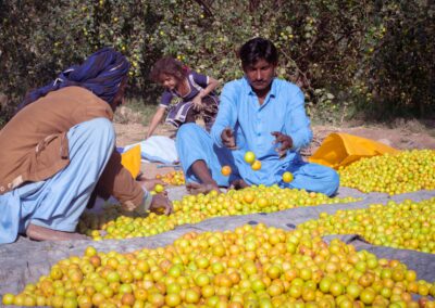 Protecting Our Future: Quantifying the Climate Adaptation Benefits of Health Investments for Gavi and AIIB