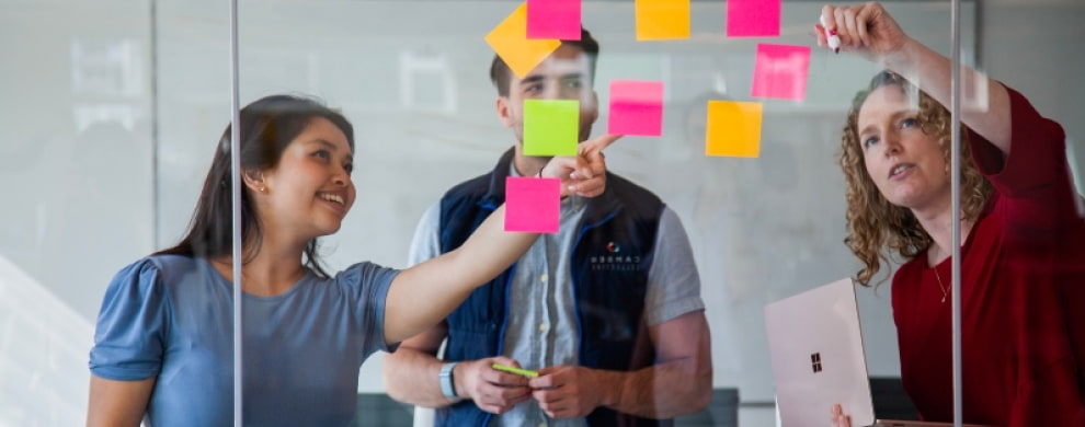 Team members working together